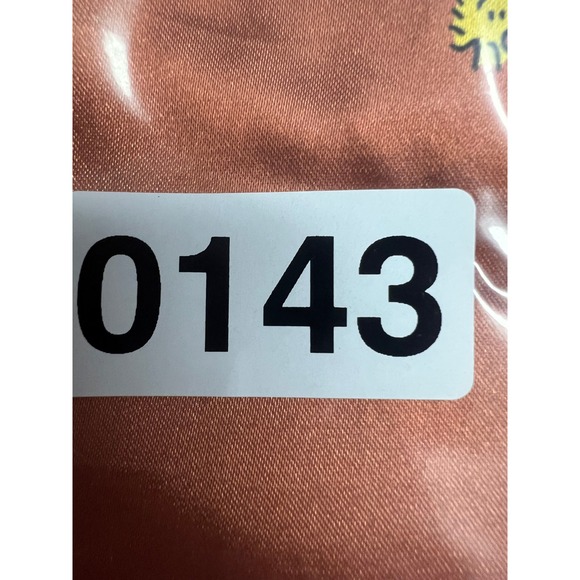 American Eagle Peanuts Snoopy Fall 2024 Satin Shorts M Halloween Pumpkins - Picture 11 of 11